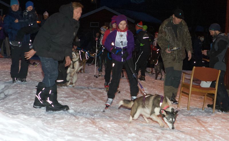 19.mars 2014: Helene sitt første hundeløp i Sørkedalen.